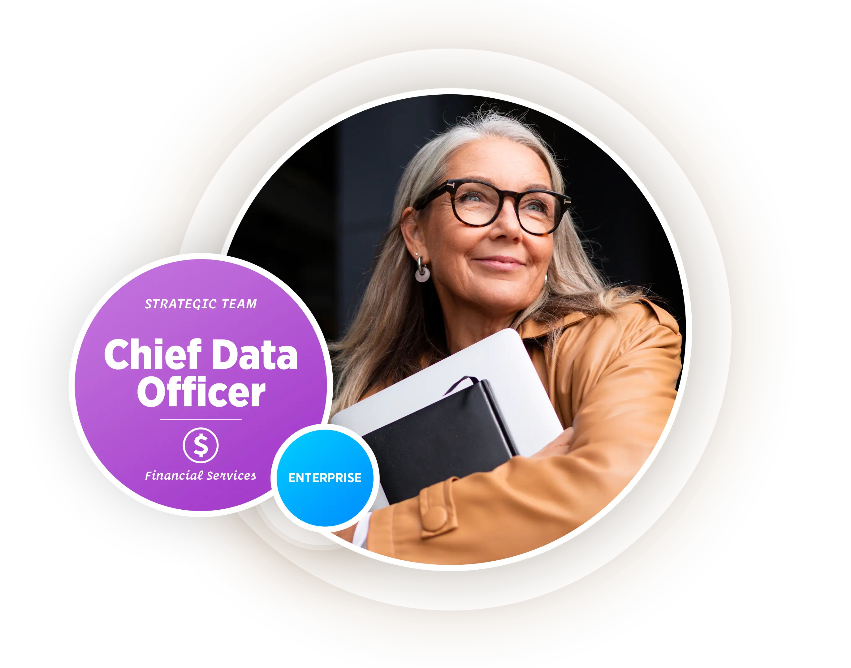 Chief Data Officer — Financial Services enterprise persona